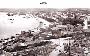 Arzew 317